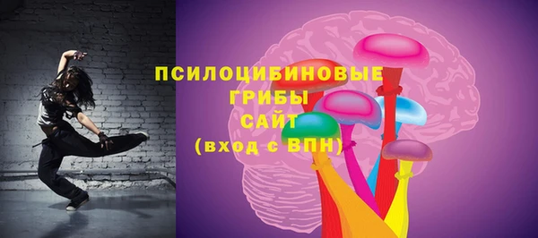 гидра Алзамай