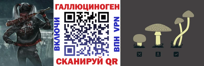 Псилоцибиновые грибы Psilocybe  купить   Тайшет 